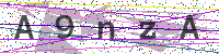 Enter Security Code