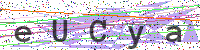 Enter Security Code