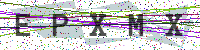 Enter Security Code