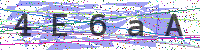 Enter Security Code