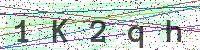 Enter Security Code