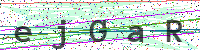 Enter Security Code