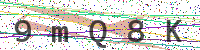 Enter Security Code