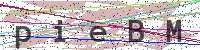 Enter Security Code