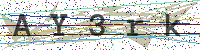 Enter Security Code