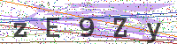 Enter Security Code