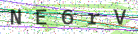 Enter Security Code