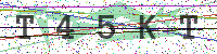 Enter Security Code