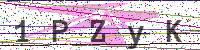 Sicherheitscode eingeben