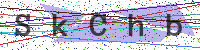Sicherheitscode eingeben