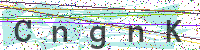 Enter Security Code