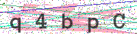 Sicherheitscode eingeben