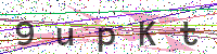 Enter Security Code