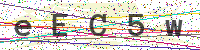 Enter Security Code