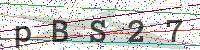 Enter Security Code