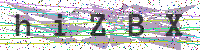 Enter Security Code
