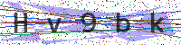 Enter Security Code