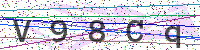 Enter Security Code
