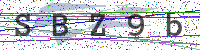 Enter Security Code