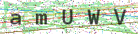 Sicherheitscode eingeben