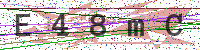 Enter Security Code