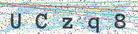 Enter Security Code