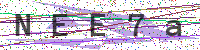 Enter Security Code