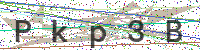 Sicherheitscode eingeben