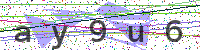 Enter Security Code