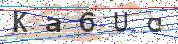 Enter Security Code