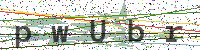 Enter Security Code
