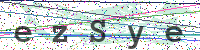 Enter Security Code