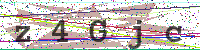 Enter Security Code