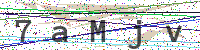 Sicherheitscode eingeben