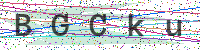 Enter Security Code