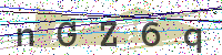 Enter Security Code