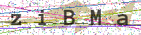 Enter Security Code