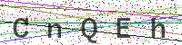 Enter Security Code