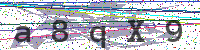 Sicherheitscode eingeben