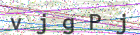 Enter Security Code