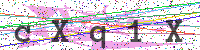 Enter Security Code