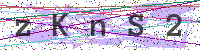Enter Security Code