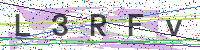 Enter Security Code