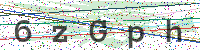 Enter Security Code