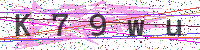Enter Security Code