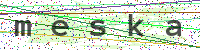 Sicherheitscode eingeben