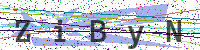 Enter Security Code