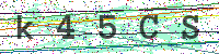 Enter Security Code