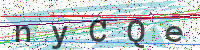 Enter Security Code