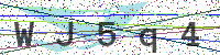 Enter Security Code